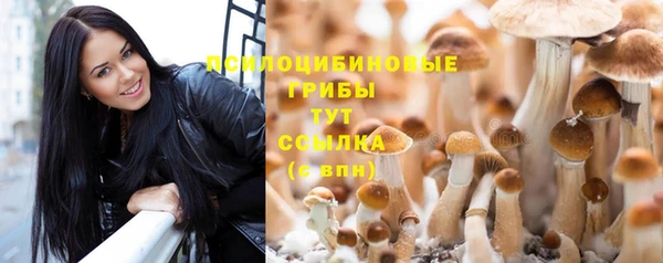 СК Абдулино