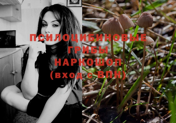 СК Абдулино