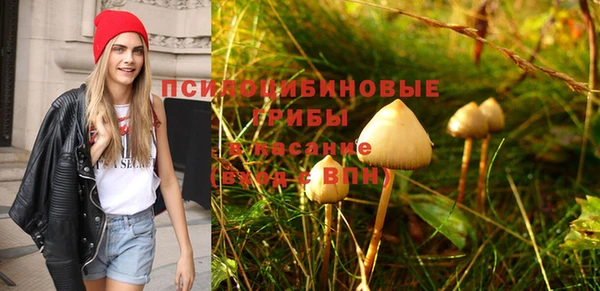 МДПВ Абинск