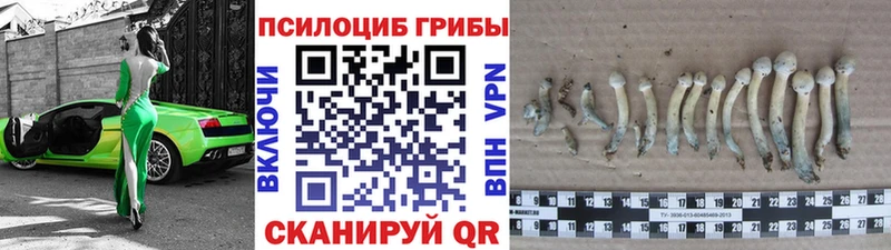 Псилоцибиновые грибы Magic Shrooms  кракен сайт  Тотьма 